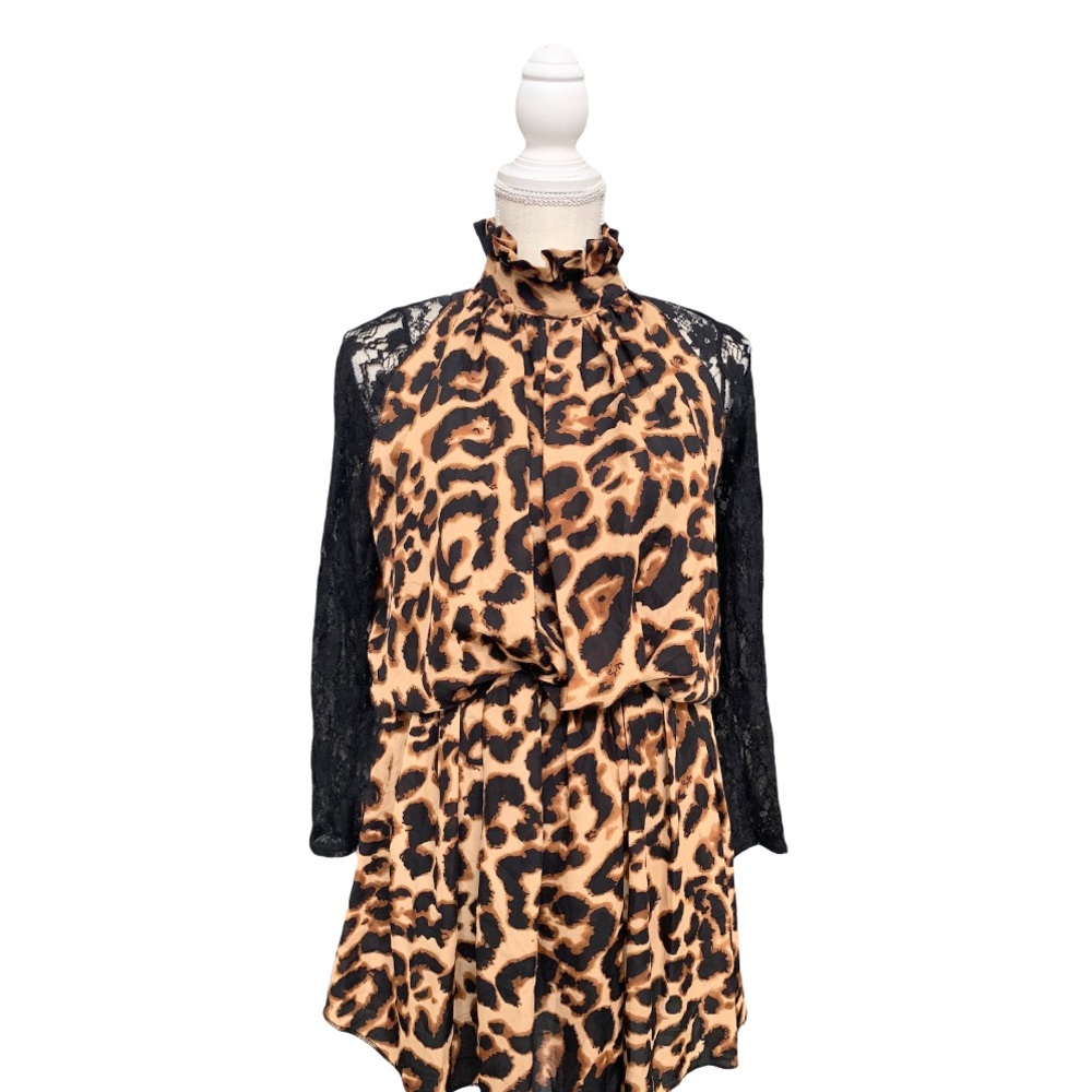 Animal Print/Lace Sleeve Dress